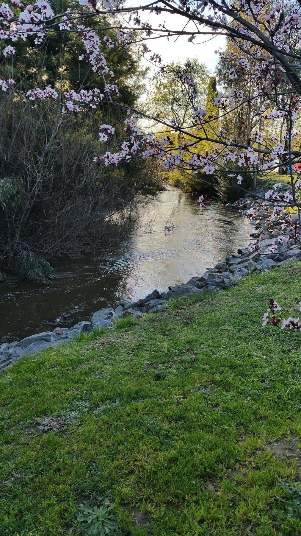 Yea Riverside Caravan Park Esterno foto
